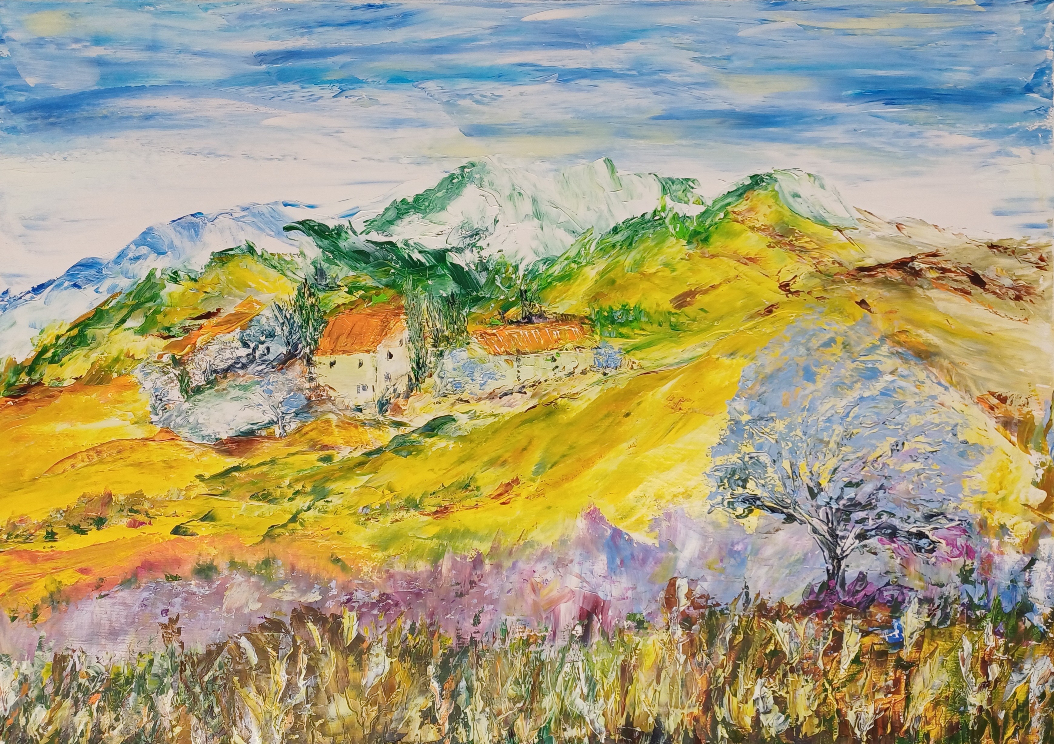 1125 en provence huile 50x70cm 20241214 142043