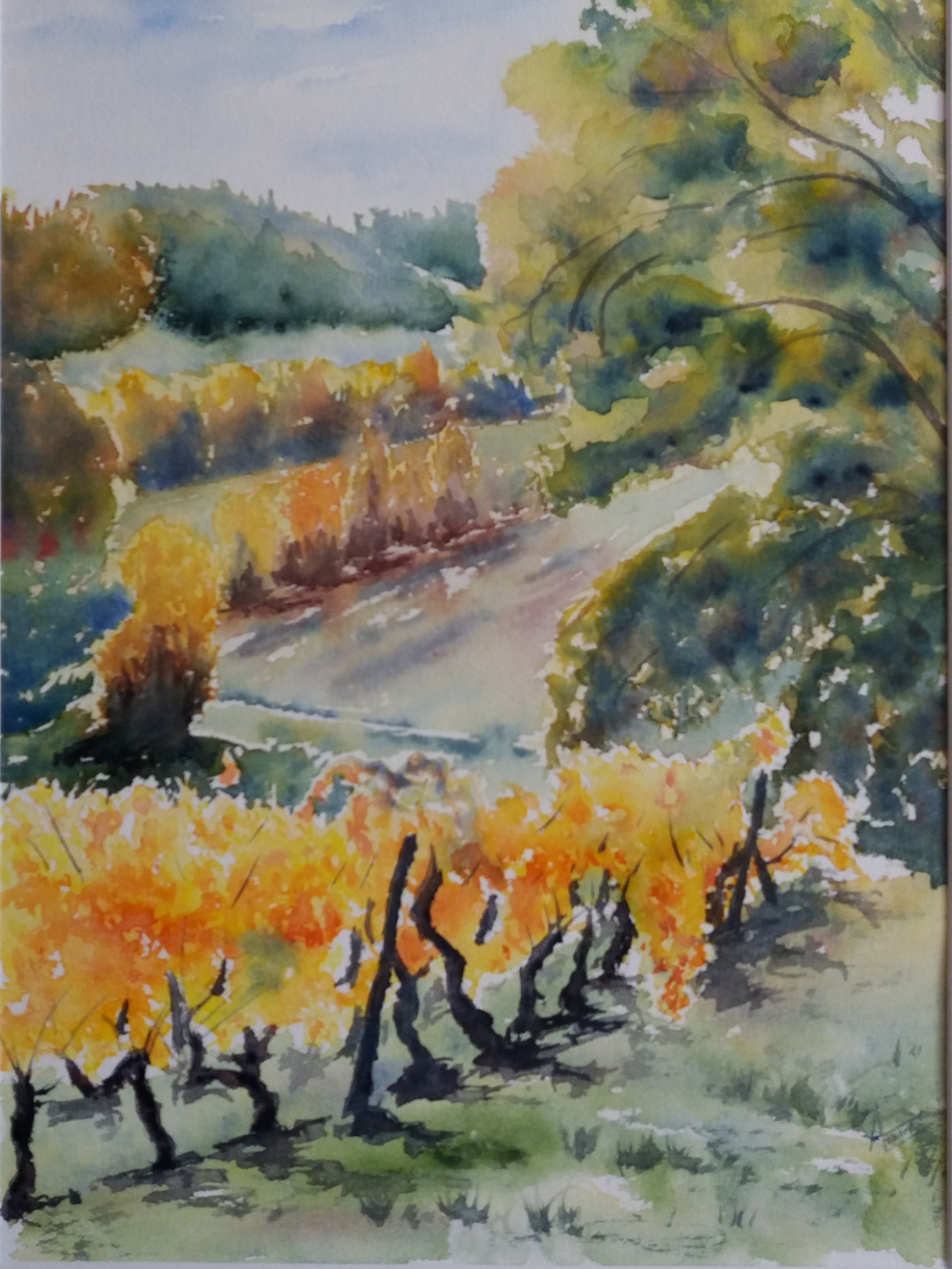 186 l automne a vors gaillacois aquarelle 40x50 cm