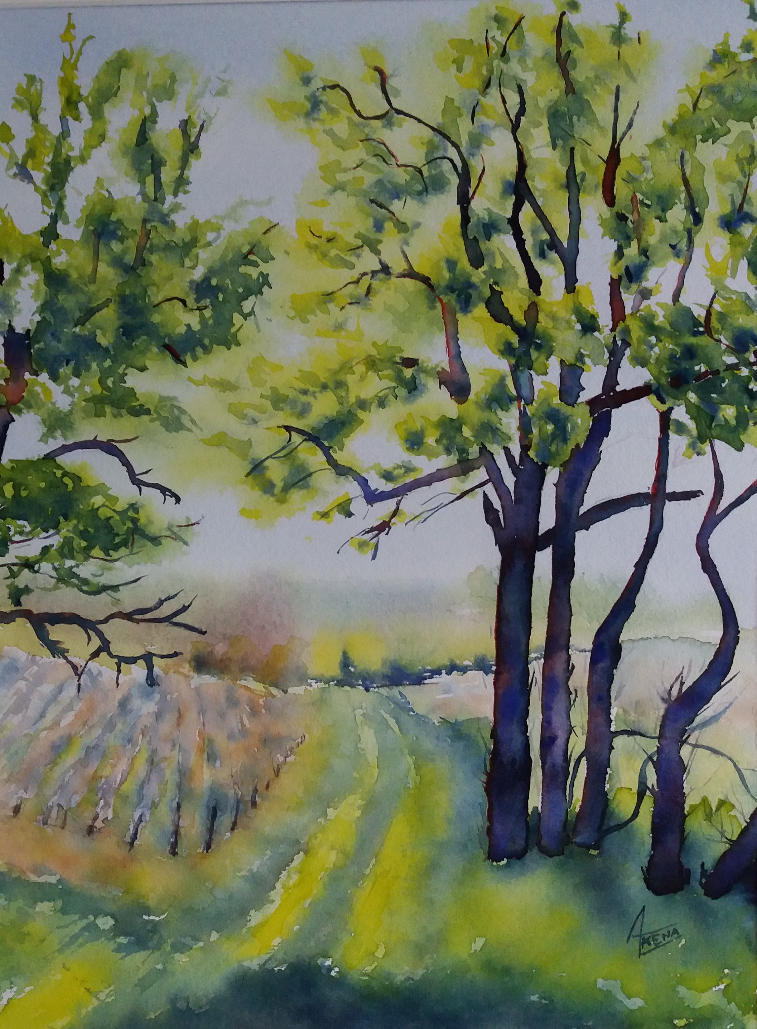 195 chemin de vignes gaillacoises aquarelle 40x50 cm