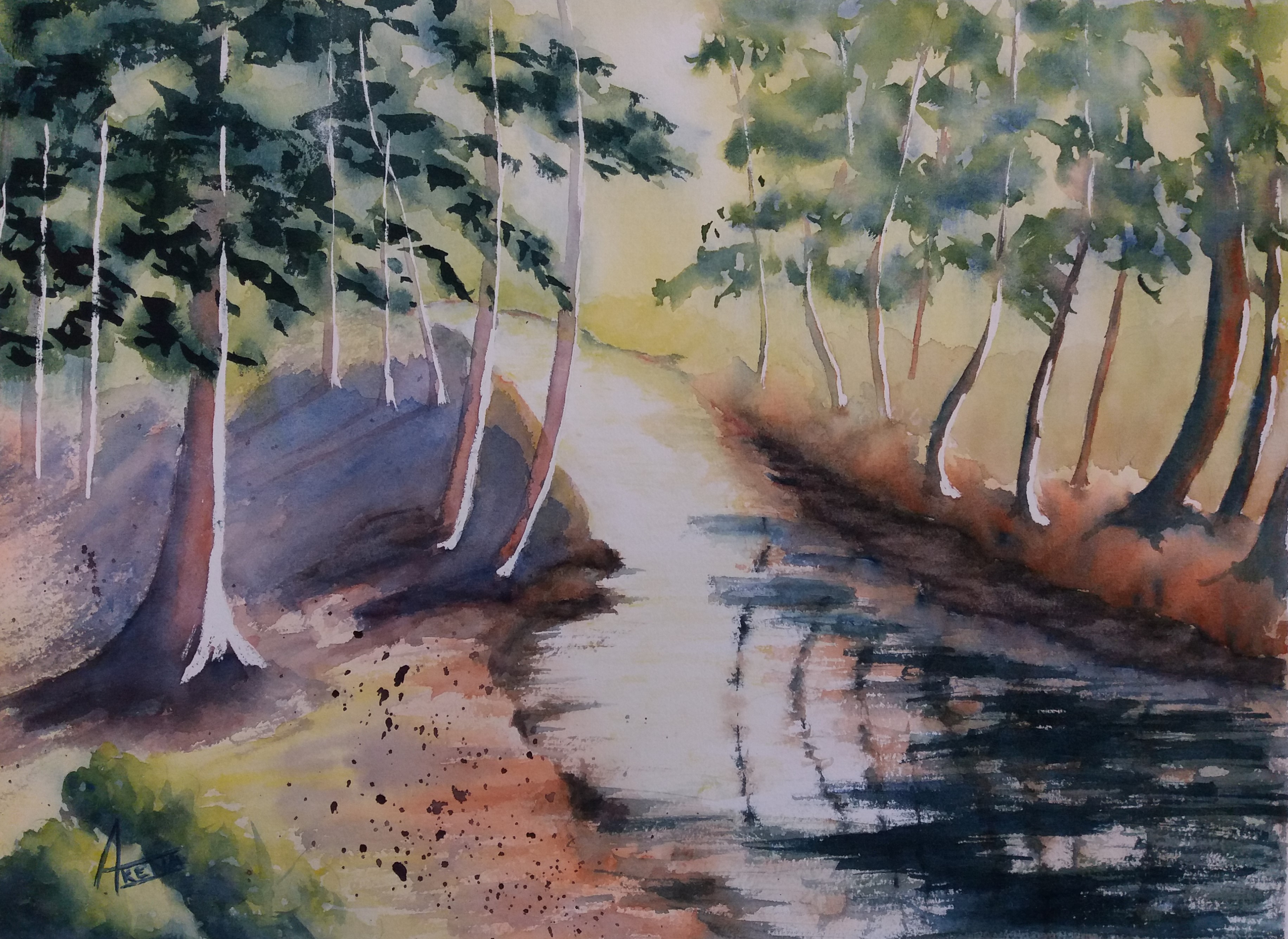 272 les arbres aux bords de la riviere aquarelle 40x50 cm 