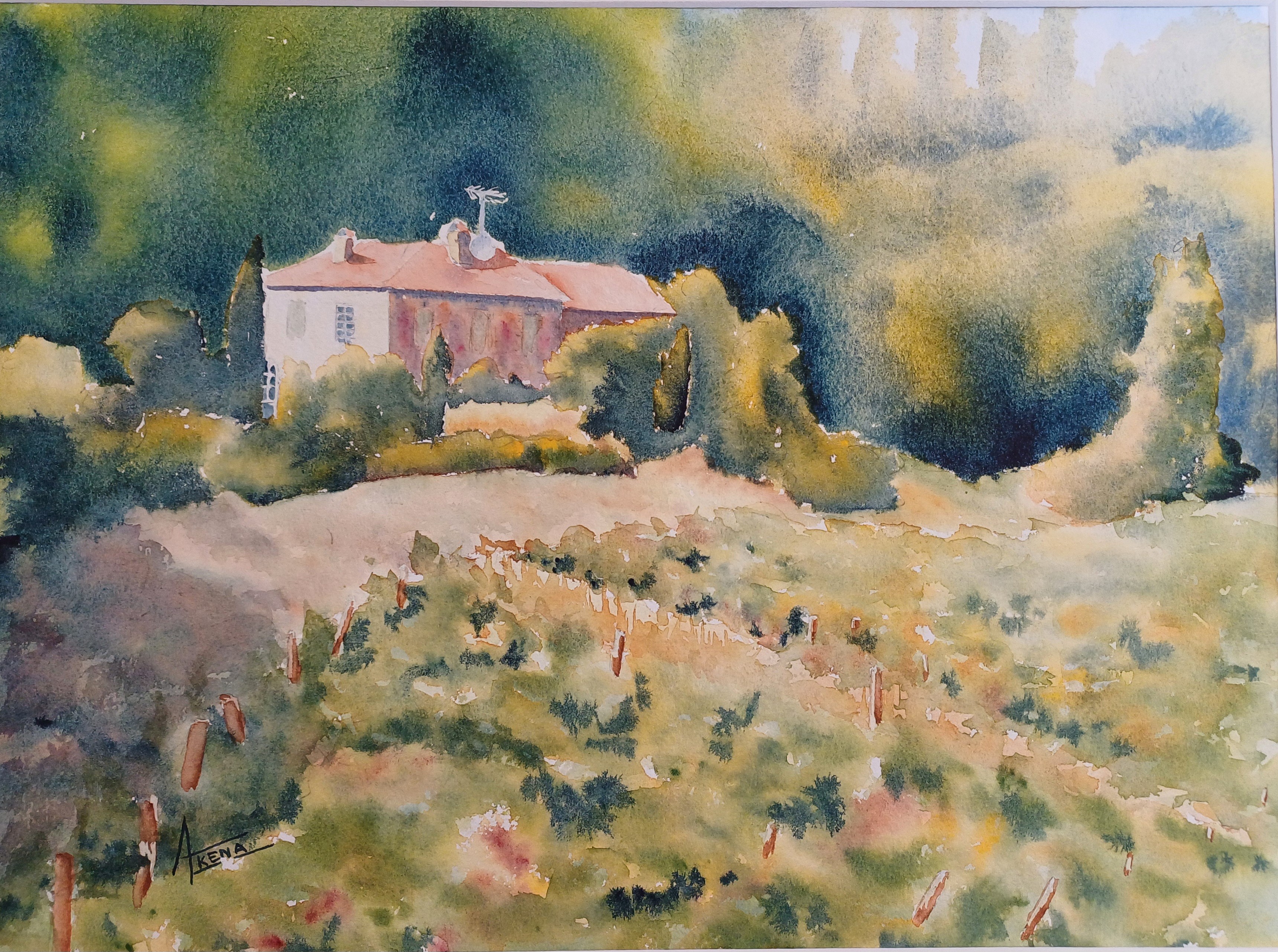 283 les coteaux gaillacois 1 les taillades aqua 40x50cm