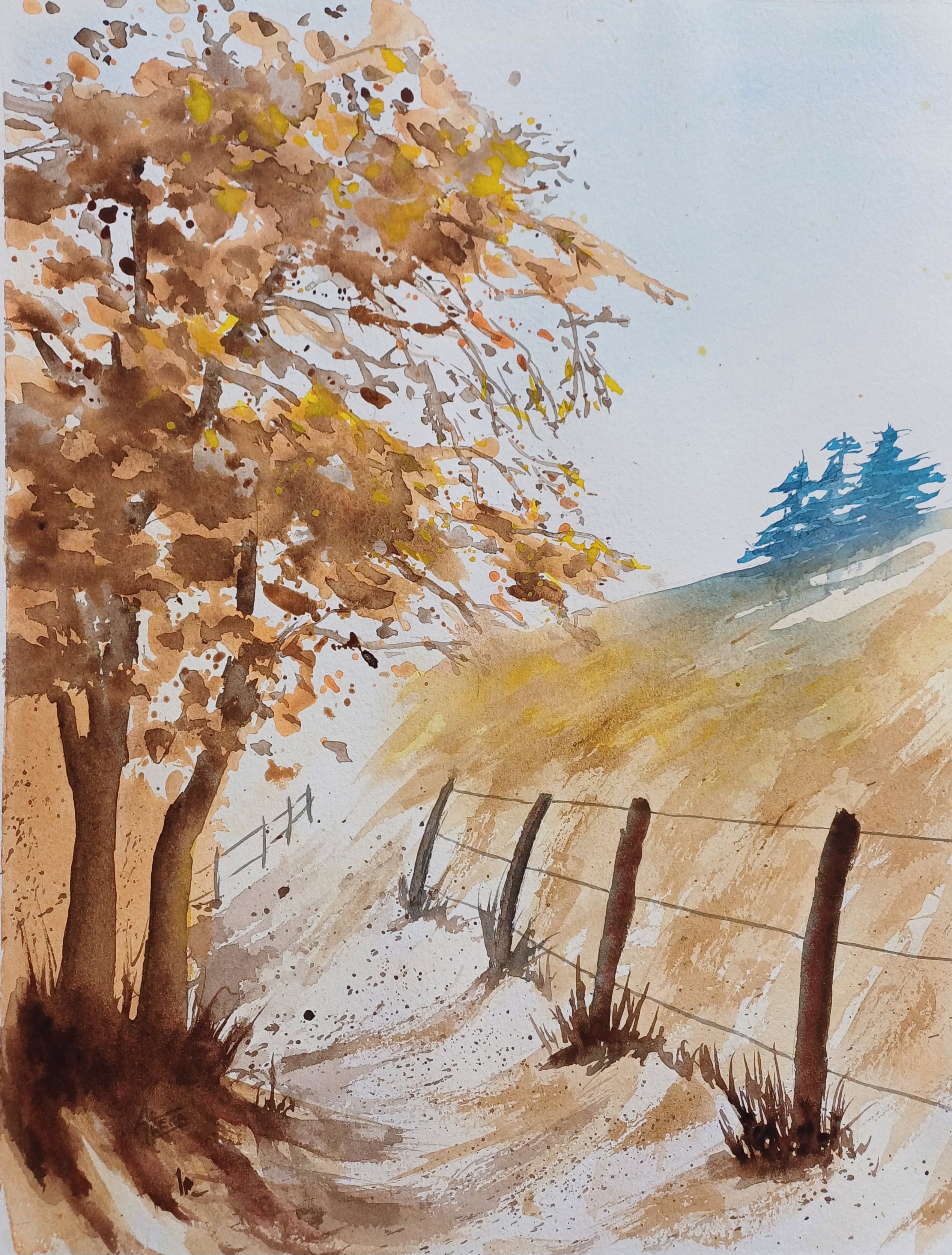 297 le pré en automne aquarelle 40x50 cm