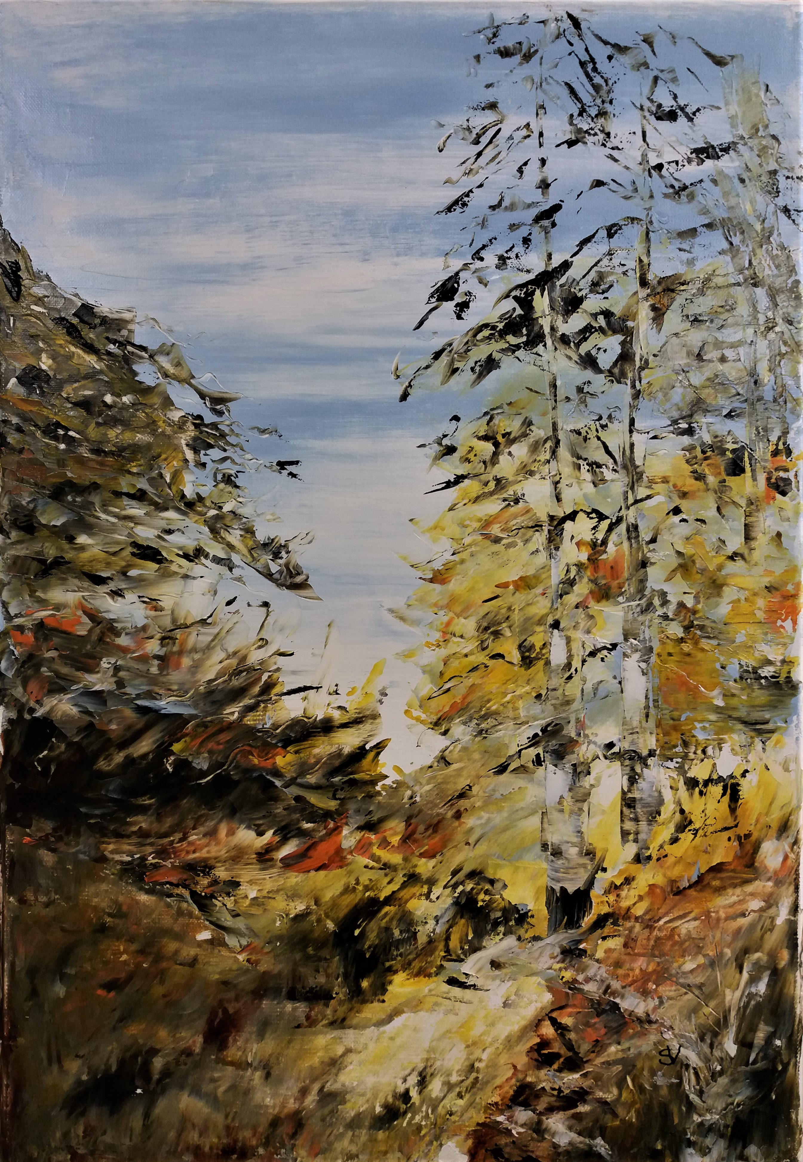 787 bouleaux huile sur toile 10p 38x55 cm 
