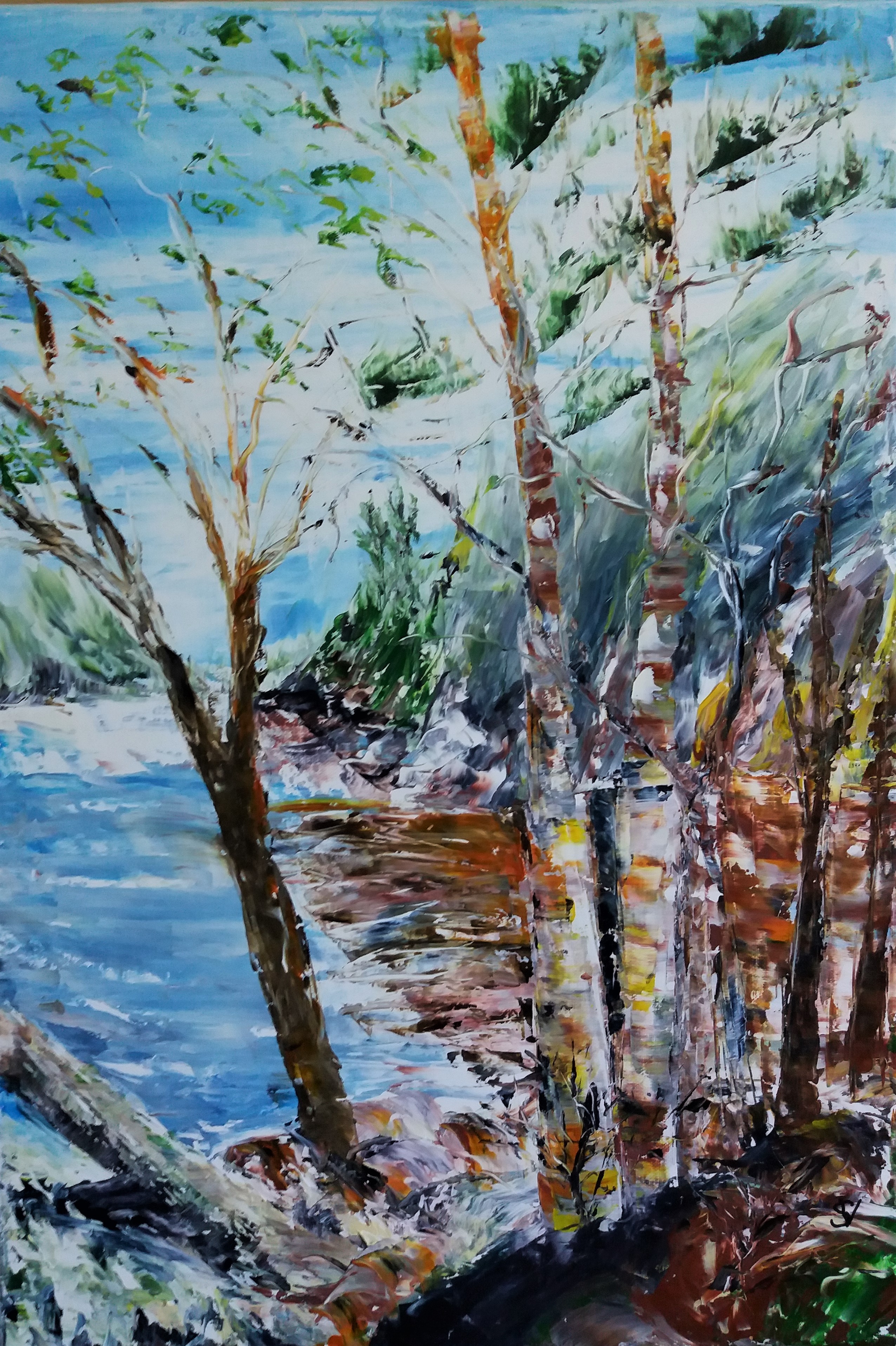 907 bouleaux sur la rive huile sur toile 10p 38x55 cm 
