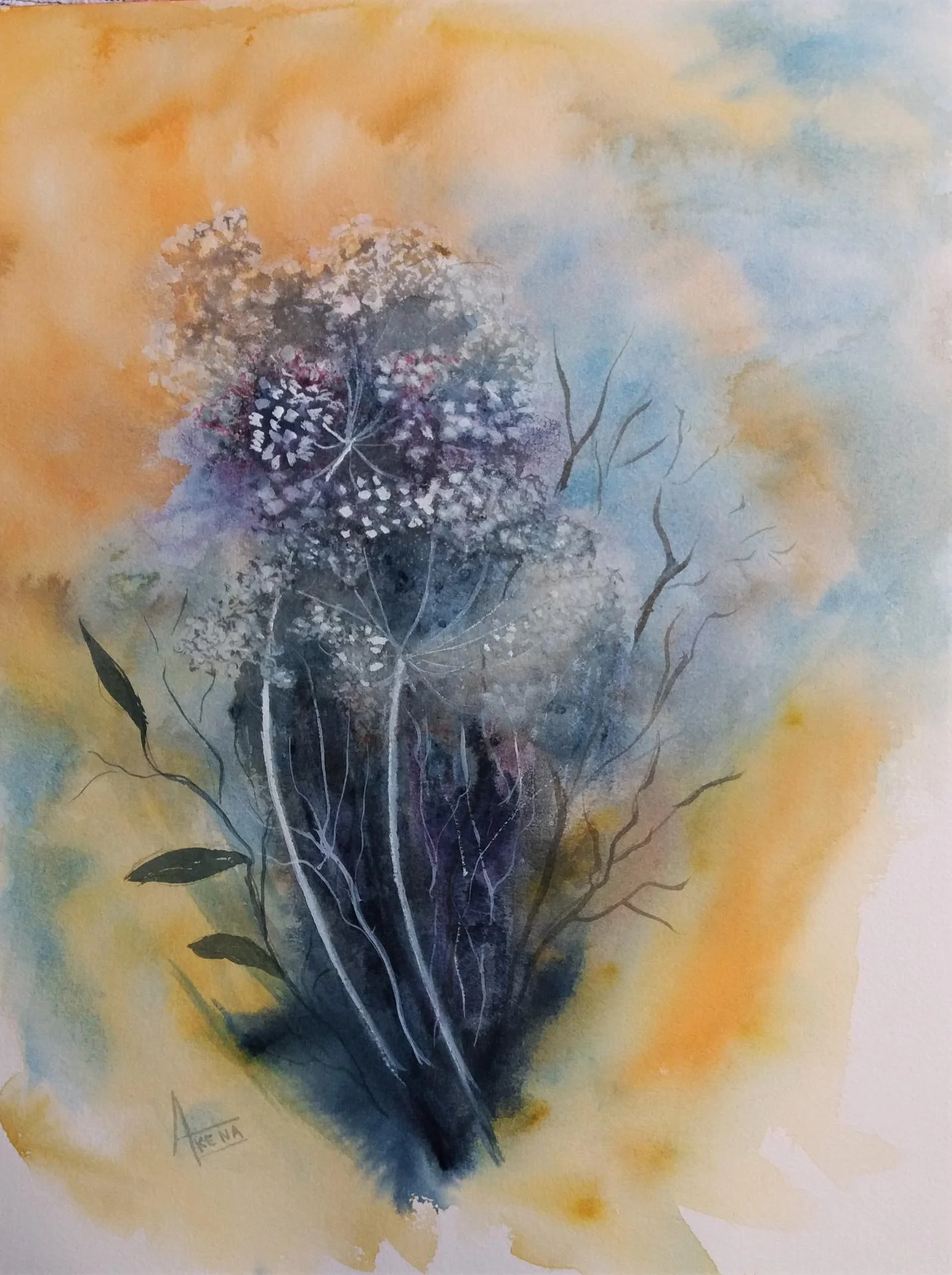 Ombellifere champetre aquarelle 40x50 cm