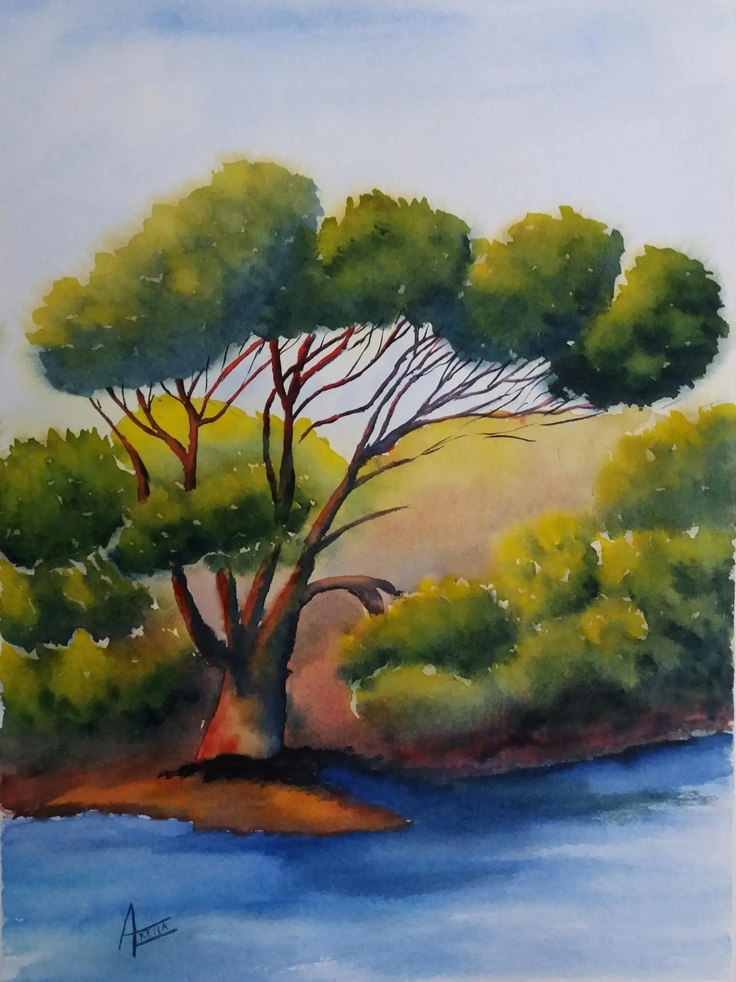 Pin parasol aquarell 40x50 cm