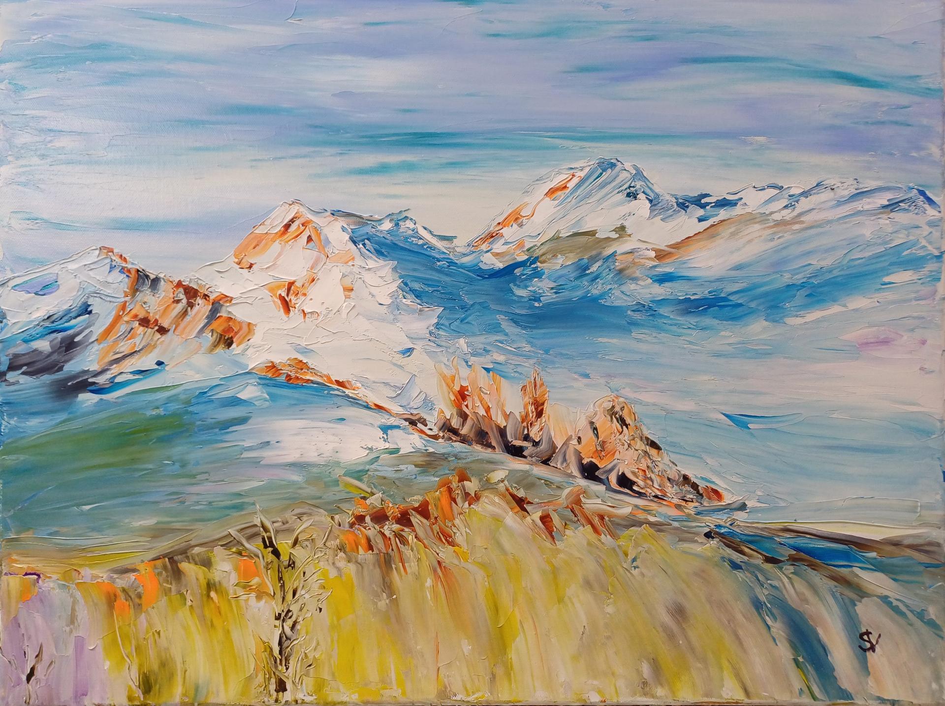 Pyrenees huile toile 12p46x61 cm