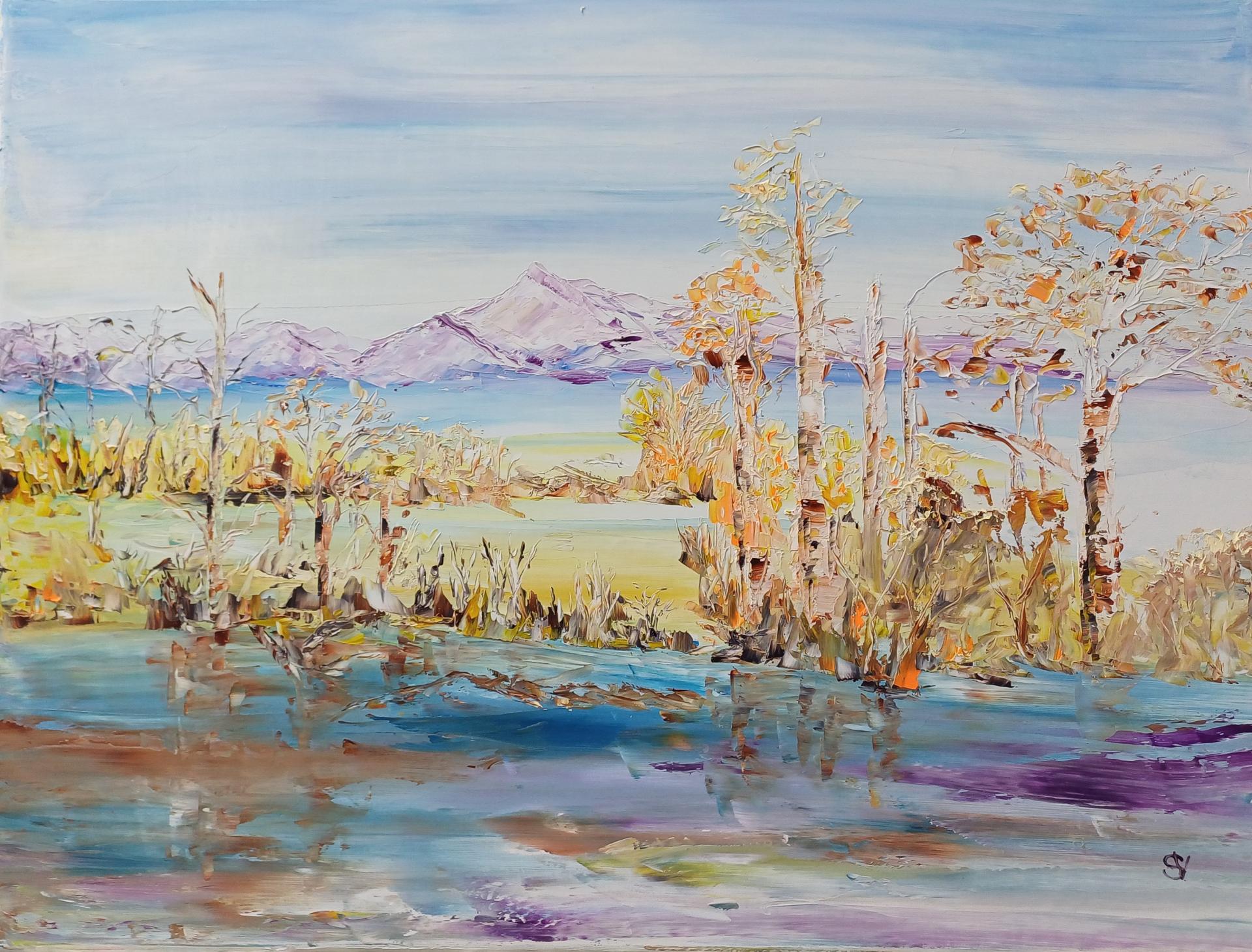 Reflets violets huile toile 12p46x61cm